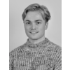 Vífill Harðarson