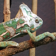 Nadin Ulrich Nadin Ulrich