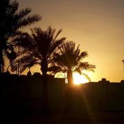 MARIAM HEGAZY MARIAM HEGAZY