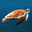 Yong Yan (Crystal) Liang Yong Yan (Crystal) Liang