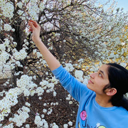 Jyo Madhavarapu Jyo Madhavarapu