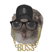 Mohe Edeen Abu Maizer Mohe Edeen Abu Maizer