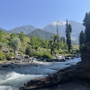 Arushi Gupta Arushi Gupta