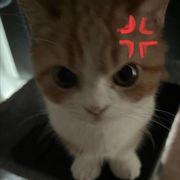 eiman sherzada eiman sherzada