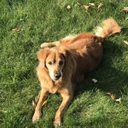 Jessica Yang Jessica Yang