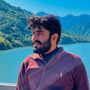 Temoor Hussain Temoor Hussain