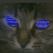 Aashvi Maurya Aashvi Maurya