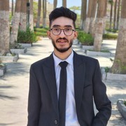 Abdallah Fekry Abdallah Fekry