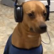 Pavan Deepak Malla Pavan Deepak Malla