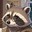 rational Racoon rational Racoon