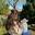 Annu 001 Annu 001