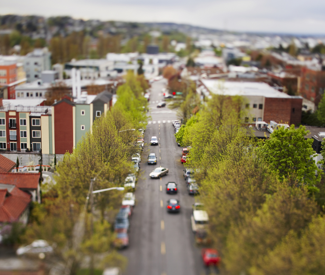 My Neighborhood Forest Photo Contest