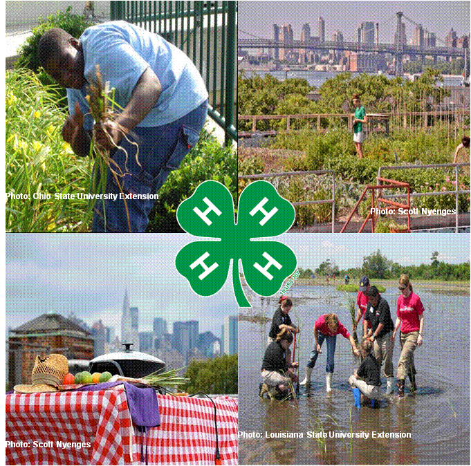 This is MY Agriculture Photo Contest