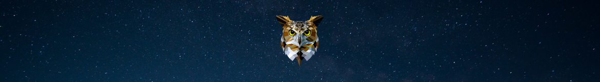 Owlhacks