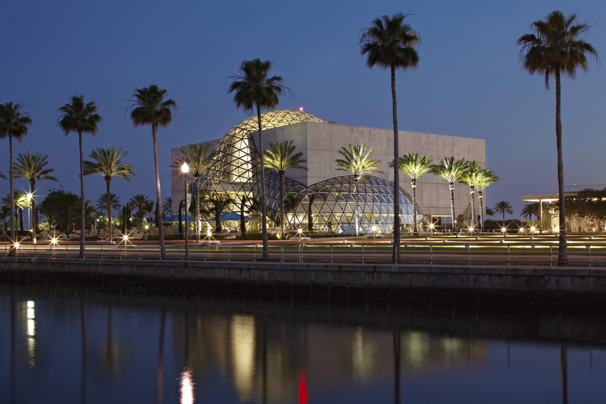 Project 34:  The Dali Vectorform Hackathon