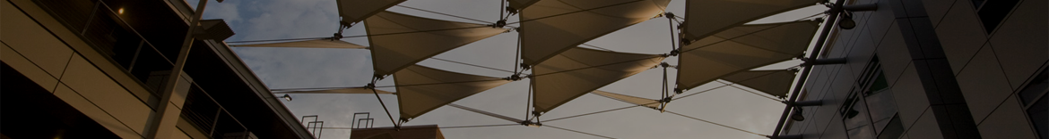 Citrus Hack Fall 2015