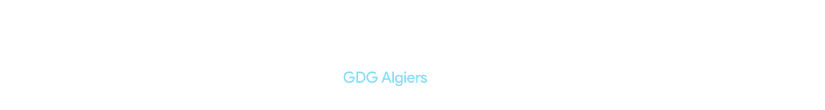 Flutter Festival