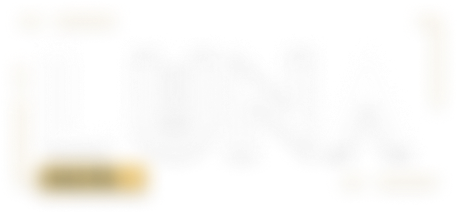 Luna Hacks  : Software Engineering 