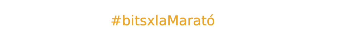 bitsxlaMarató 2023