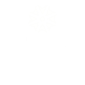 AETHRA GLOBAL VIBEATHON 2025
