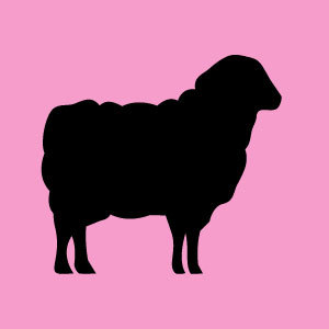 She ships - 8M hackathon