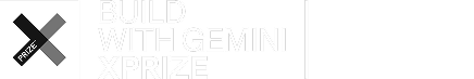 Build with Gemini XPRIZE