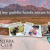 Military and Veterans Photo/Essay Contest