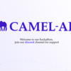 Multi-Agent System Solutions - CAMEL-AI Hackathon