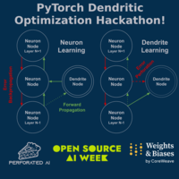 PyTorch Dendritic Optimization Hackathon