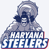 Haryana Steelers Team