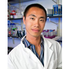 Desmond Lun
