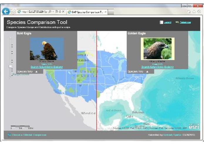 Species Comparison Tool – screenshot 3
