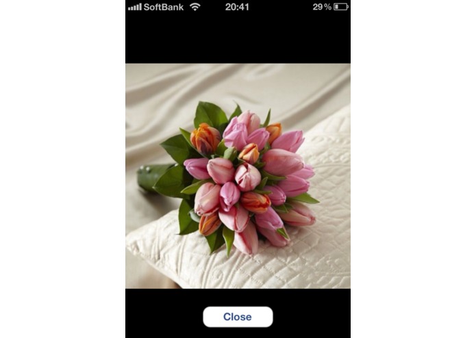 Wedding Photo Notes – screenshot 3