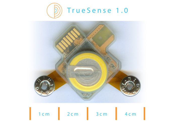 FlexLive Monitor System with the TrueSense DIY Kit – screenshot 1