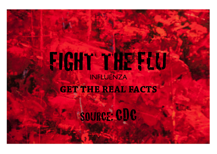 CDC " How to Fight the Flu" – screenshot 1