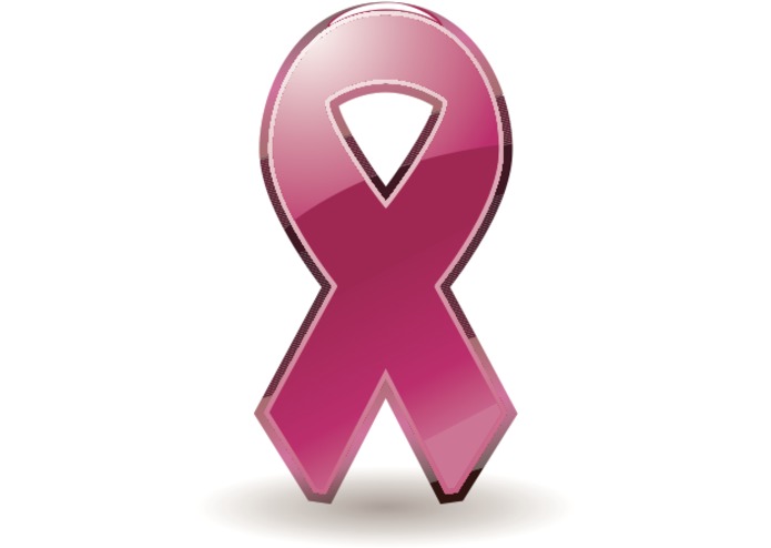 Breast Cancer Risk Predictor – screenshot 1