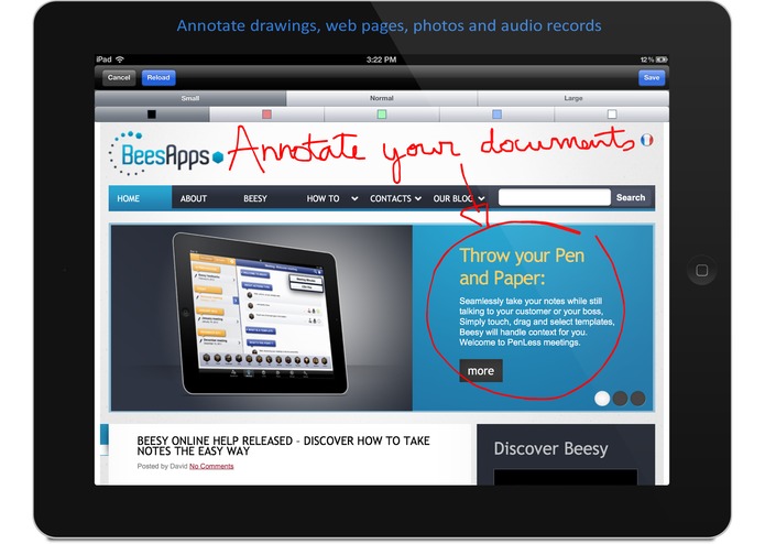 Beesy HD for iPad - smart note taking and automated ToDo – screenshot 3