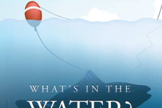 What's in the Water?