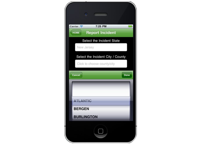 The Green Gumshoe – screenshot 2