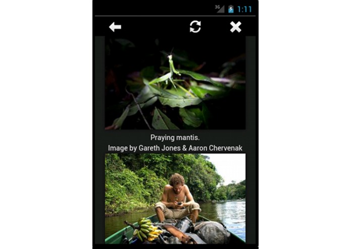 Pythom – screenshot 1