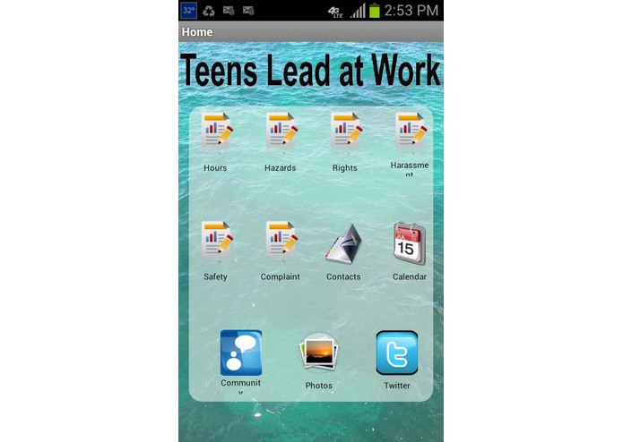Teens Lead at Work – screenshot 1
