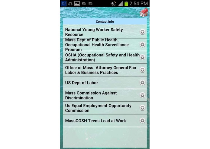 Teens Lead at Work – screenshot 3