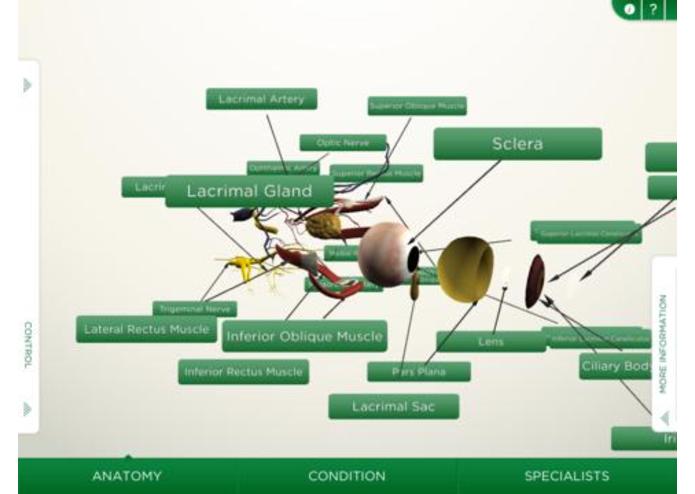 EyeDecide – screenshot 2