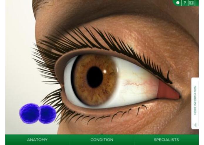 EyeDecide – screenshot 3