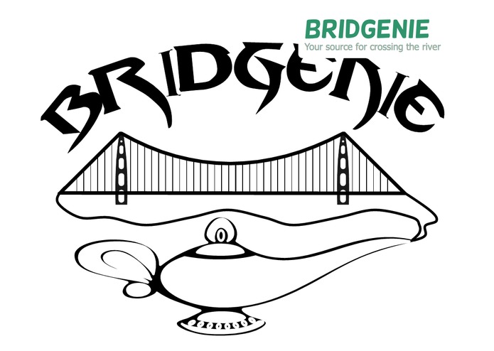 BridGenie - Bridges Project Tracking – screenshot 1