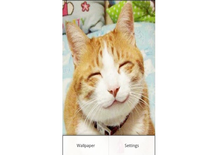 Emotional Cat – screenshot 2