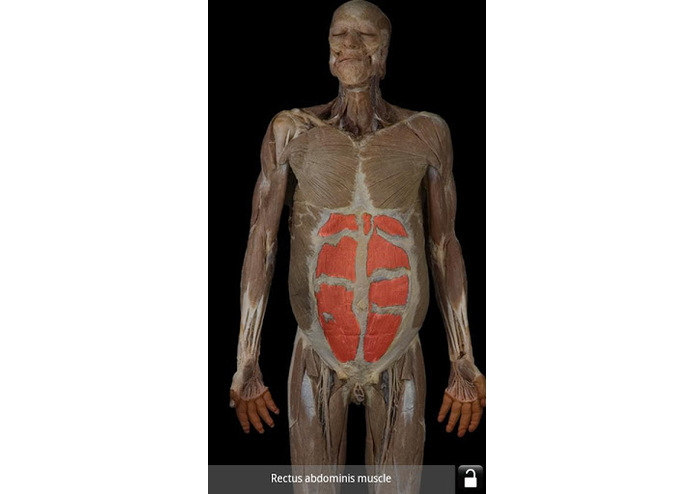 AnatomyLab – screenshot 2
