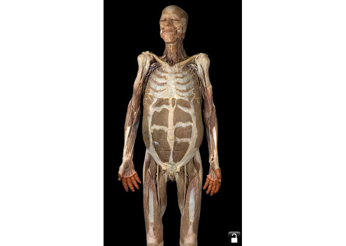 AnatomyLab – screenshot 4