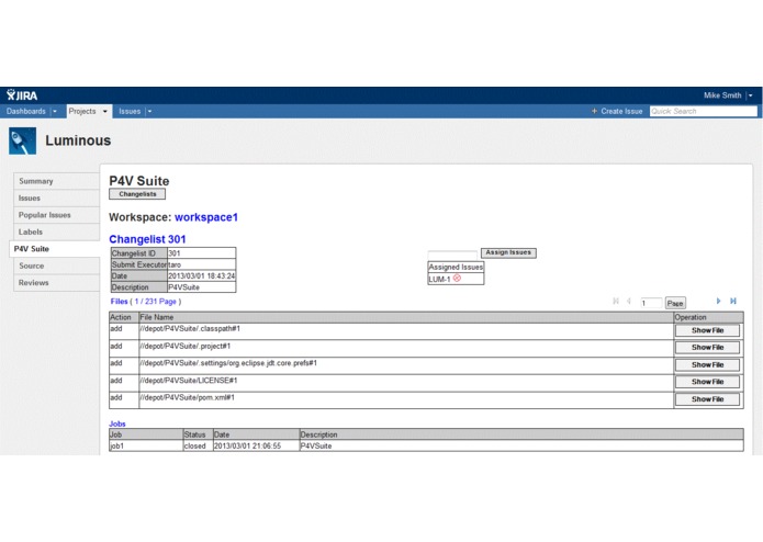 P4V Suite JIRA – screenshot 4
