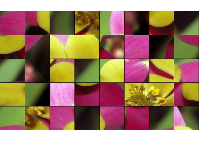 Linderdaum Puzzle – screenshot 5